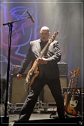 NIK_87003 Triggerfinger 21-11-2018 (Zz) (p)